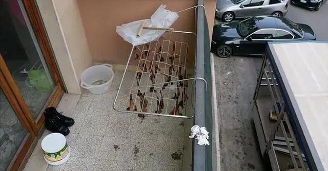 華人陽(yáng)臺(tái)曬雞翅被看成曬蝙蝠，意大利人報(bào)警了，市長(zhǎng)都來(lái)圍觀······